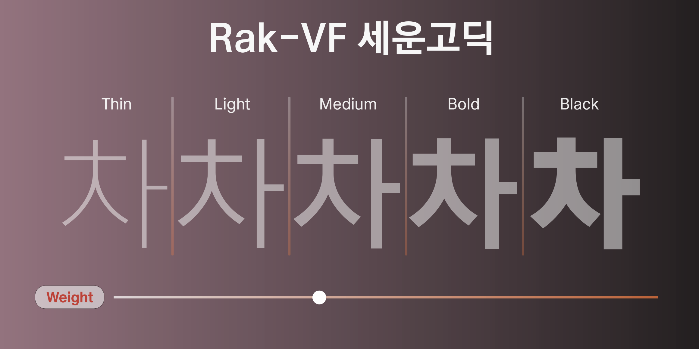 Rak-VF 세운고딕 font in use