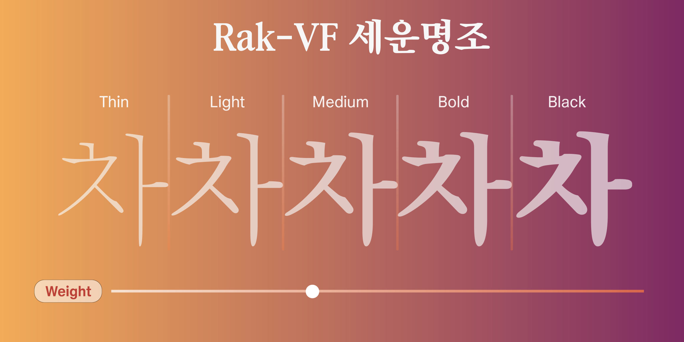 Rak-VF 세운명조 font in use