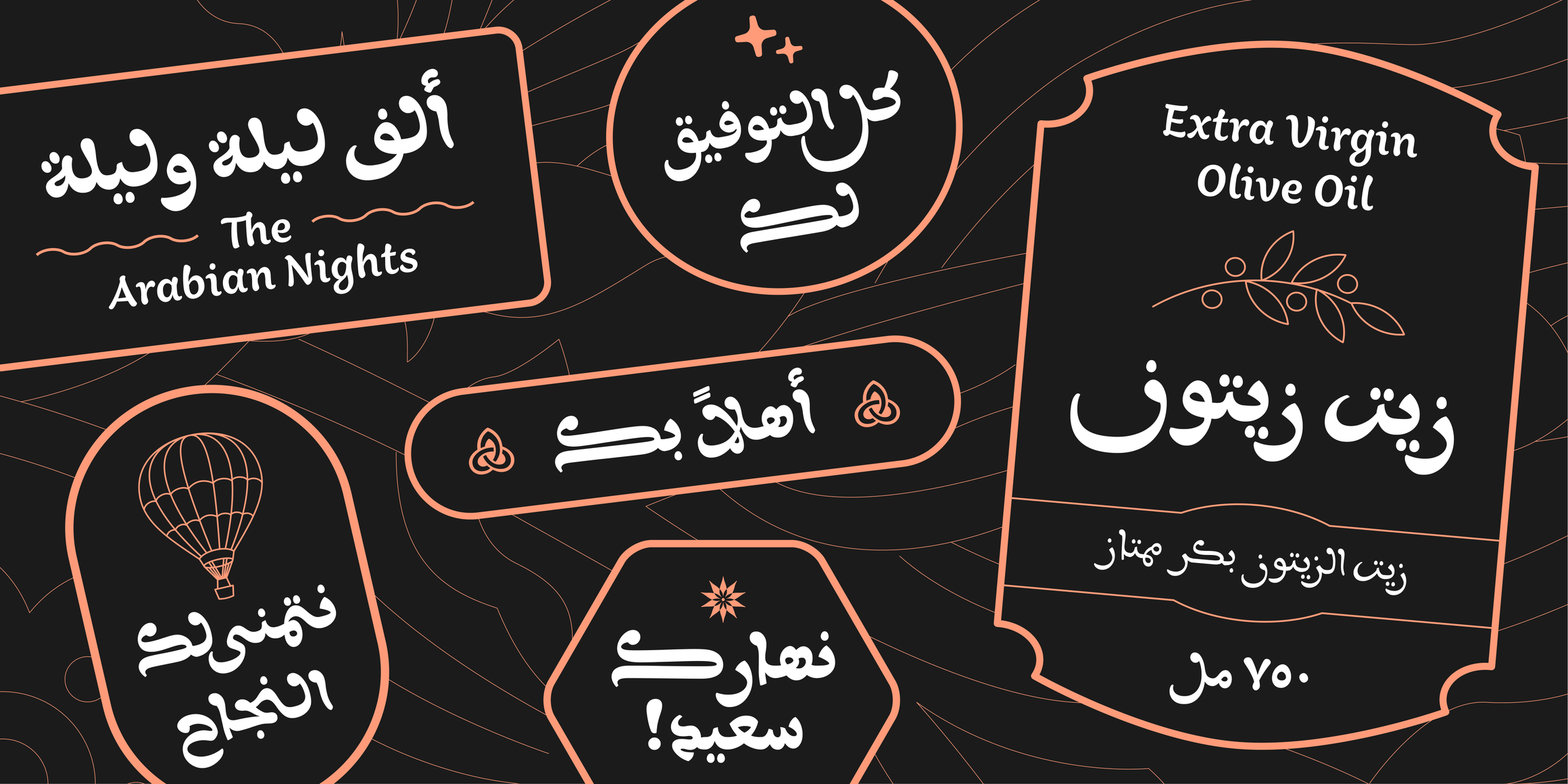 Aisha Arabic  font in use
