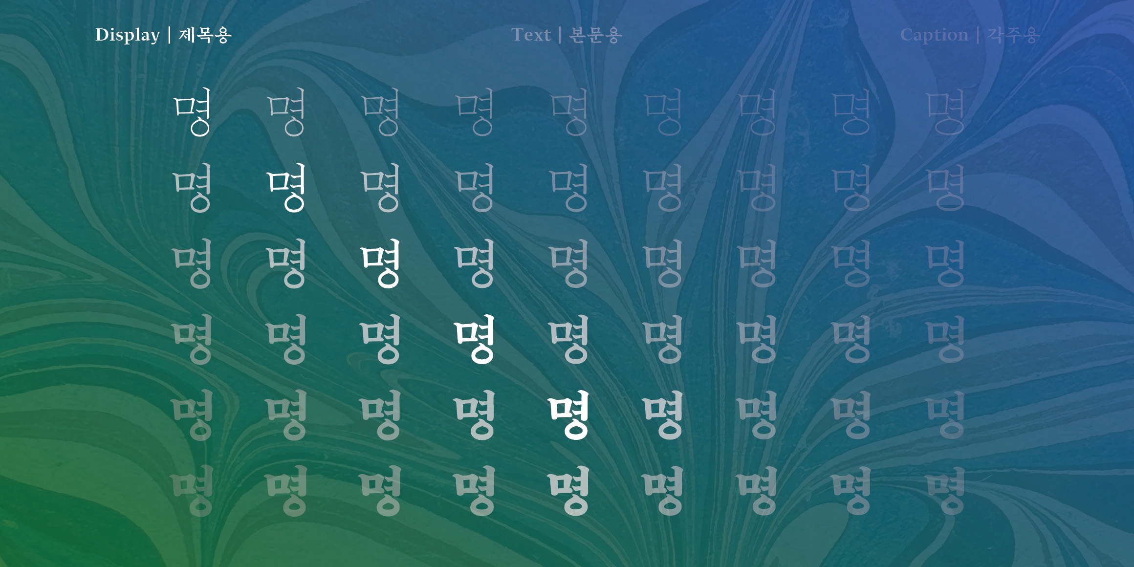 활짝명조 제목용 font in use