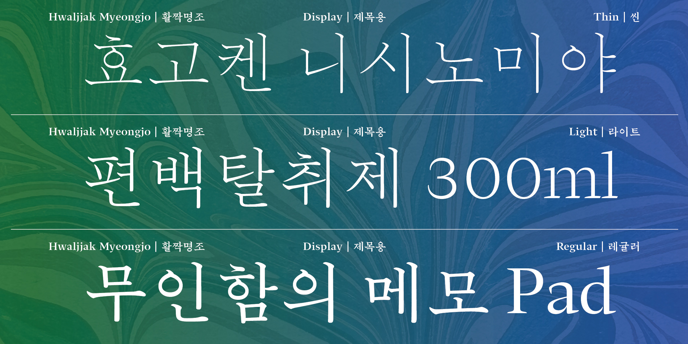 Hwaljjak Myeongjo Display font in use