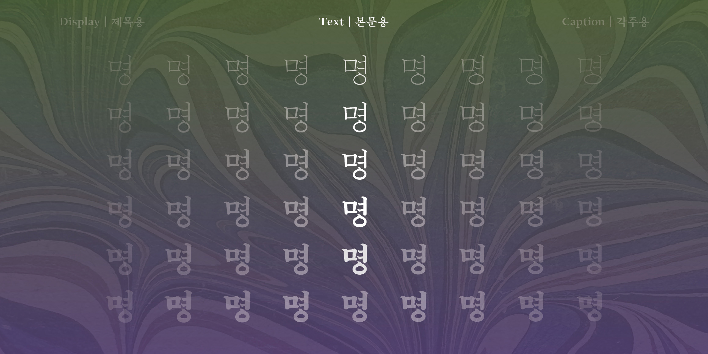 HwaljjakMyeongjo Text font in use