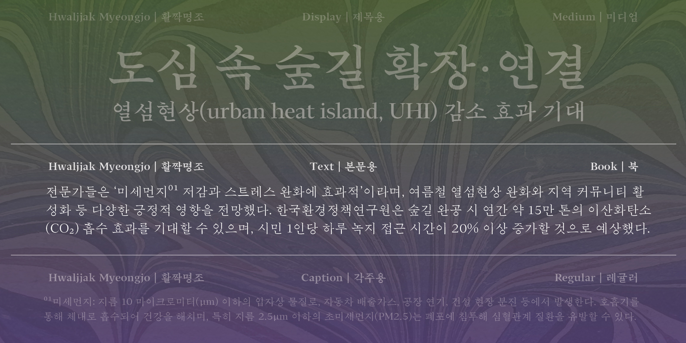 HwaljjakMyeongjo Text font in use