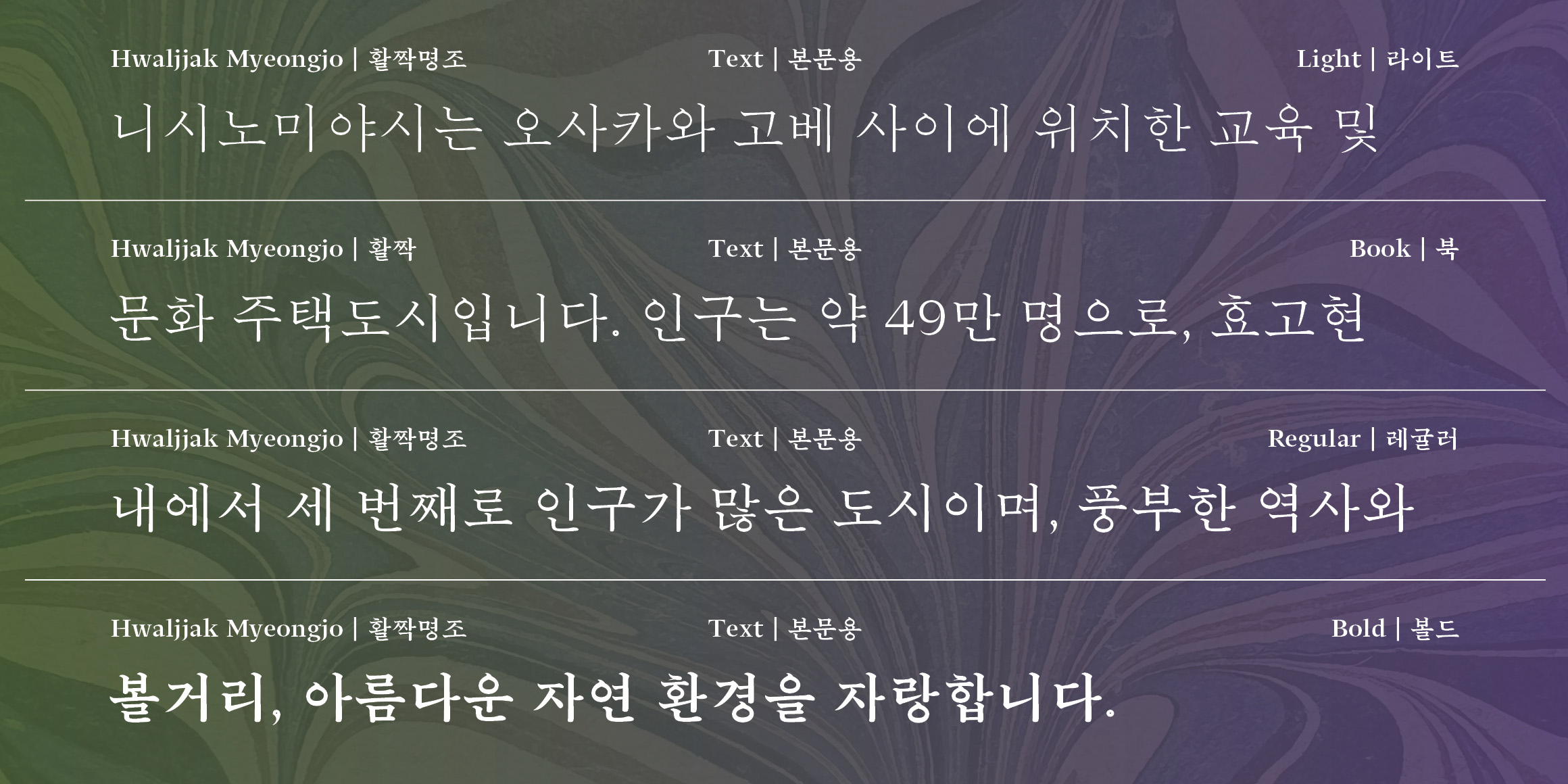 HwaljjakMyeongjo Text font in use