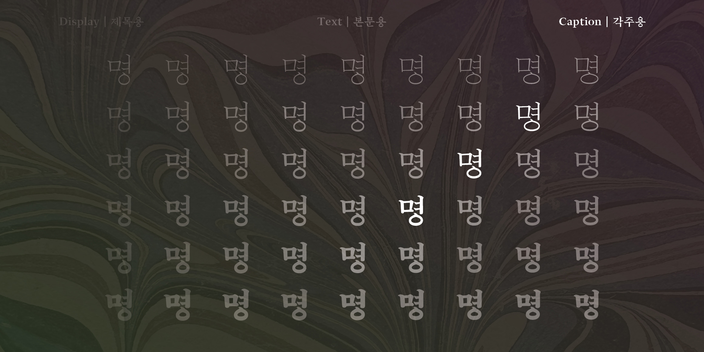 활짝명조 각주용 font in use