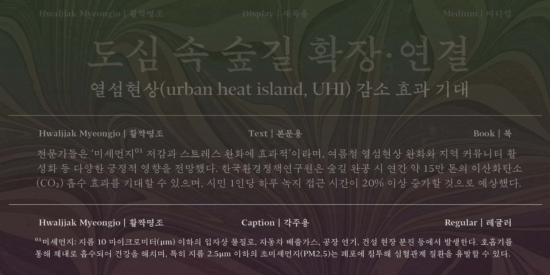 활짝명조 각주용 font in use