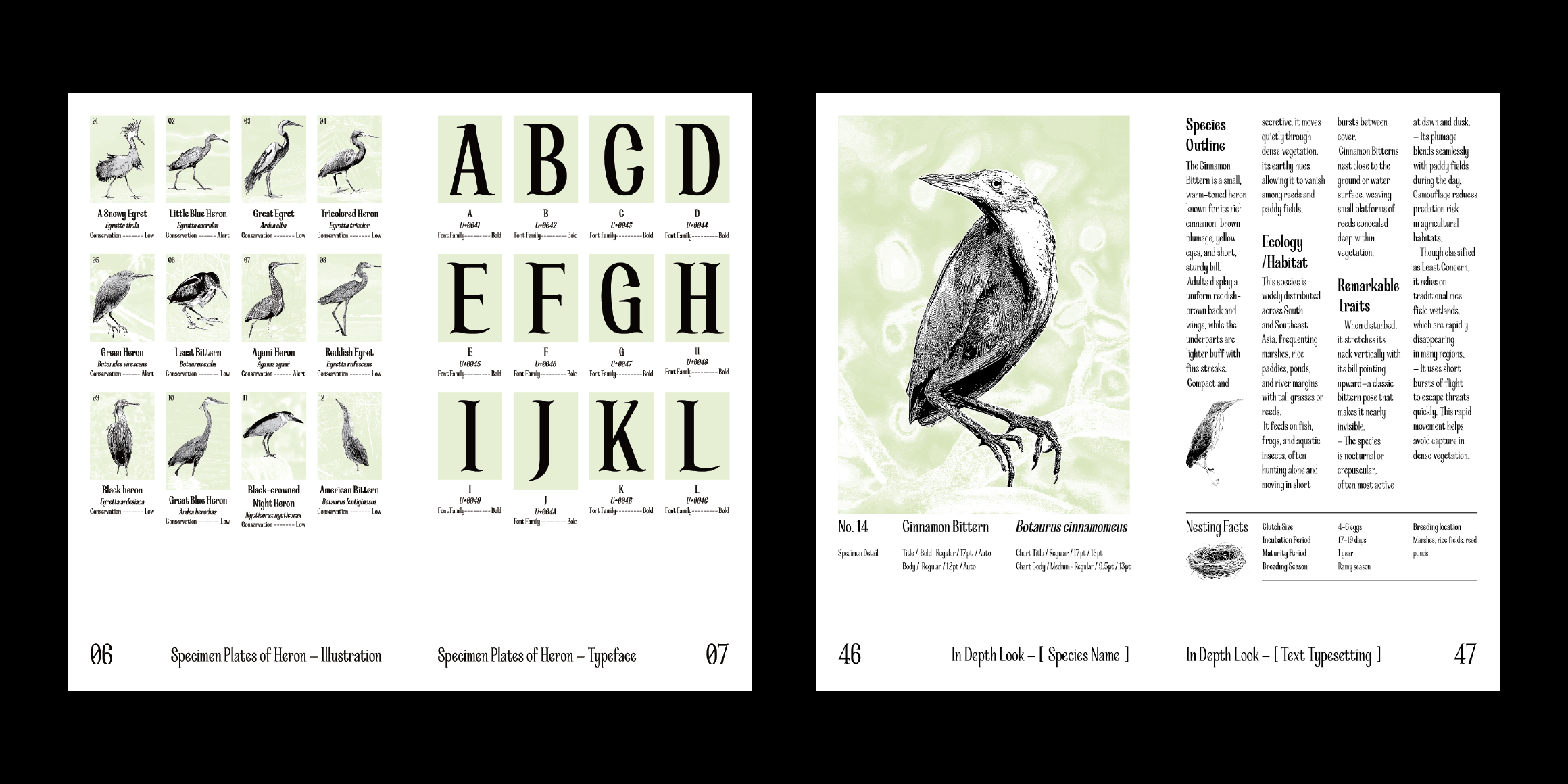 Heron font in use