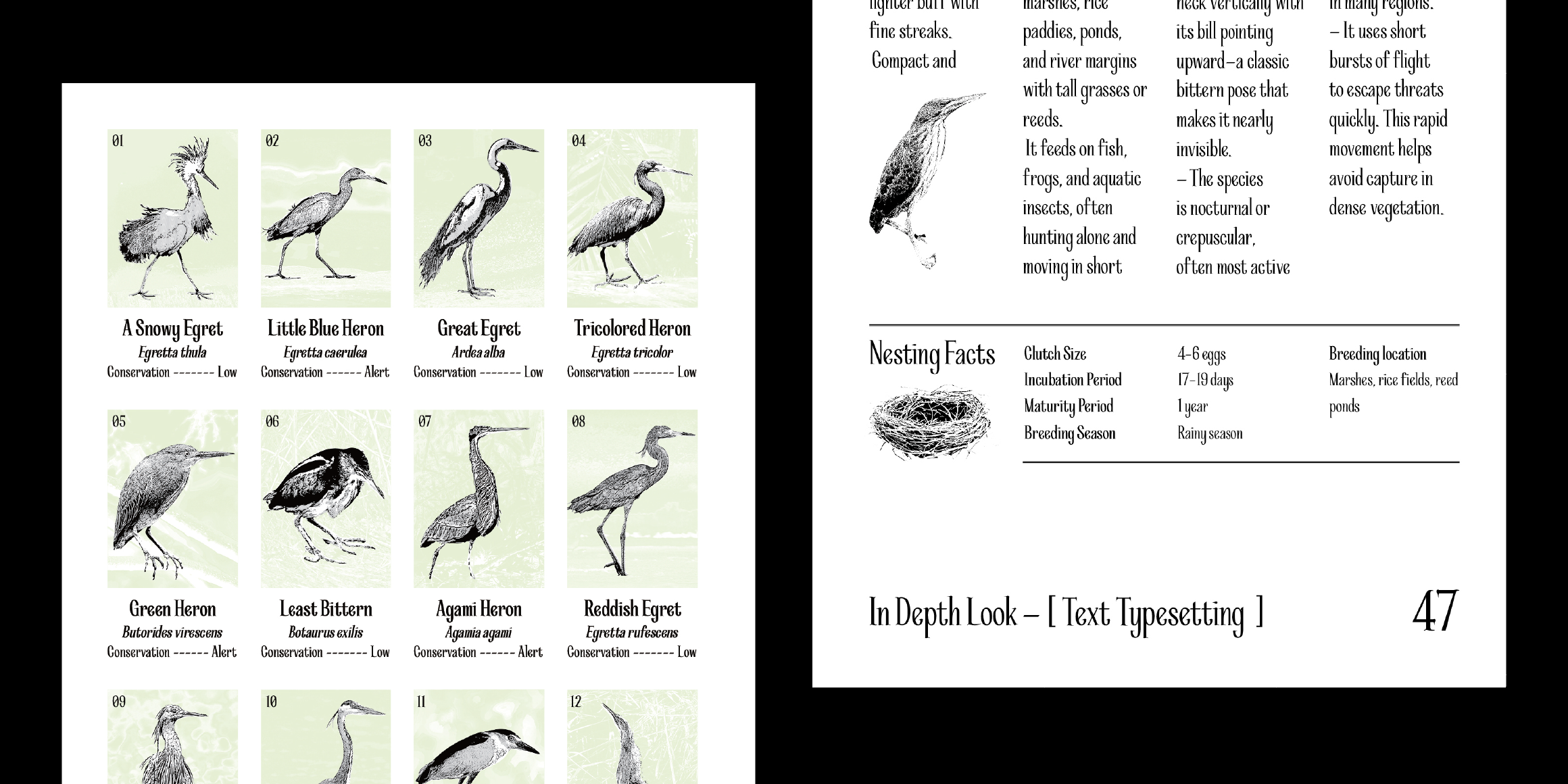 Heron font in use