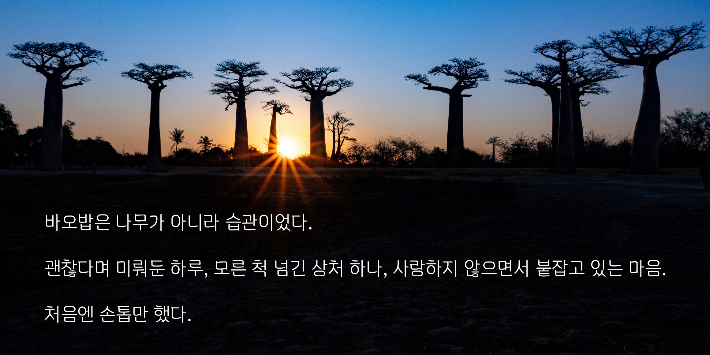 타이포_또박굴림 font in use