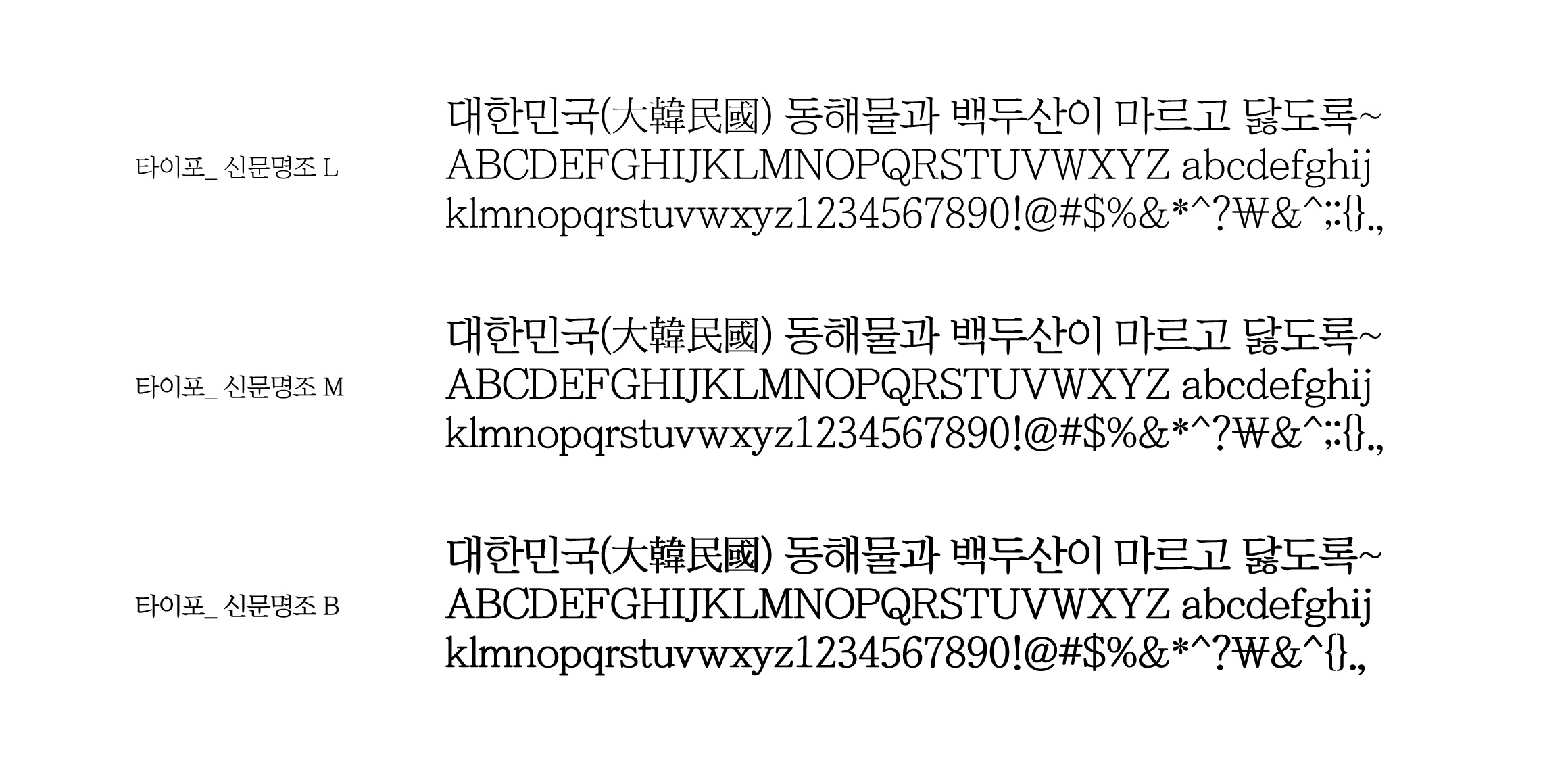 타이포_신문명조 font in use