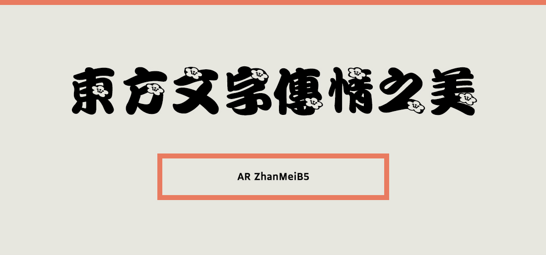 AR ZhanMeiB5