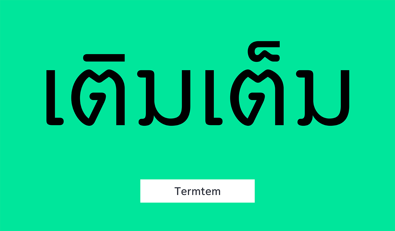 Termtem