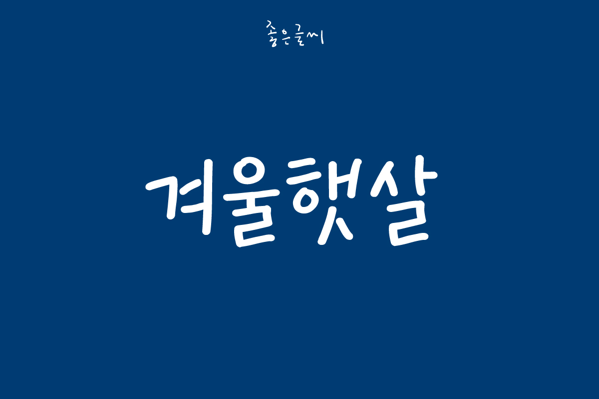 GF 겨울햇살