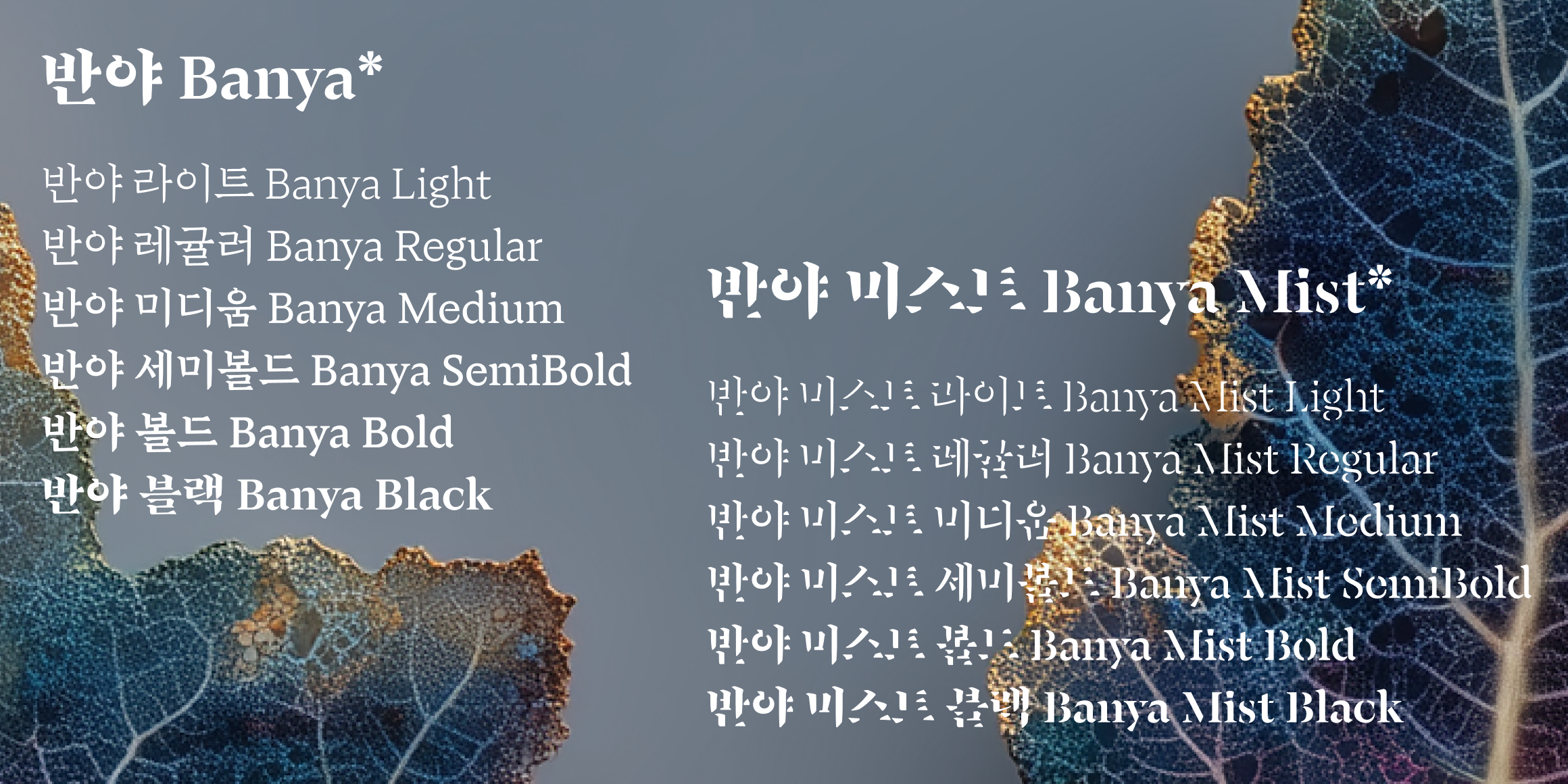 반야 미스트 font in use