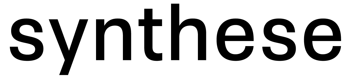 synthese 타이틀