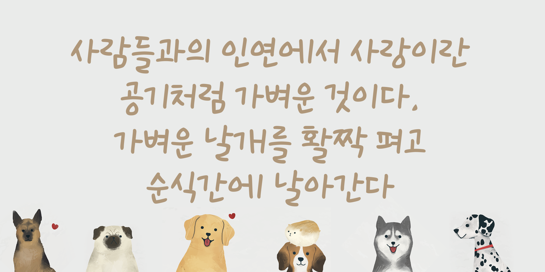 Dain DaengDaeng font in use