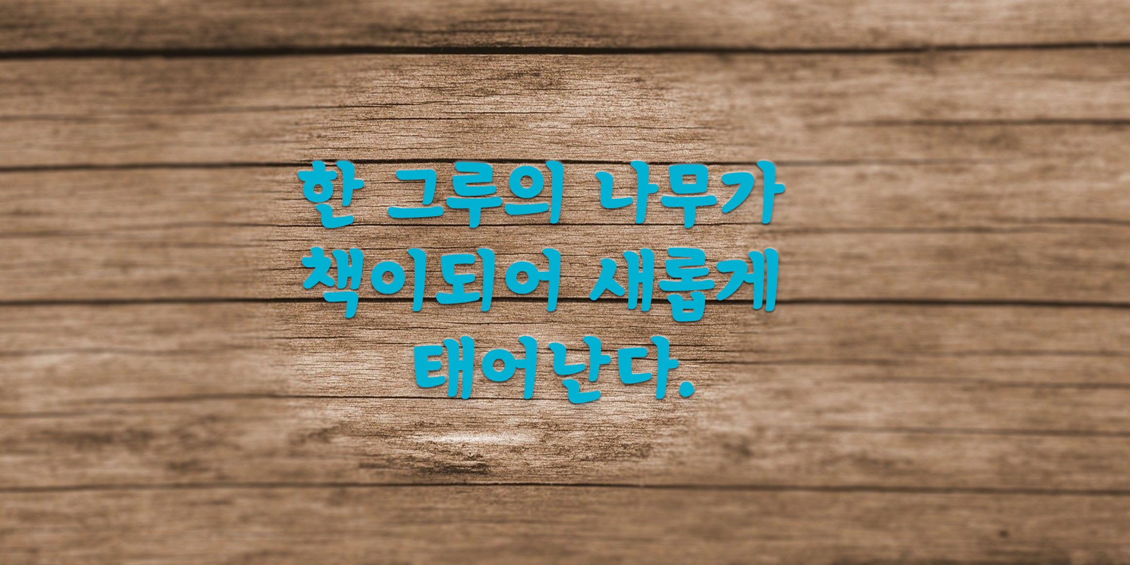 DX나무로만든책 font in use